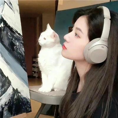 捉猫笑史